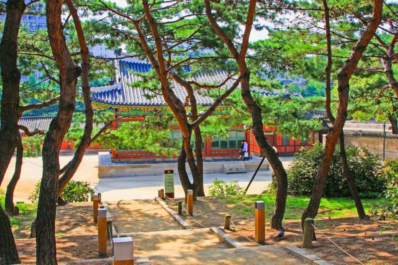 Das Reise-Trend-Ziel Südkorea mit Gebeco erleben