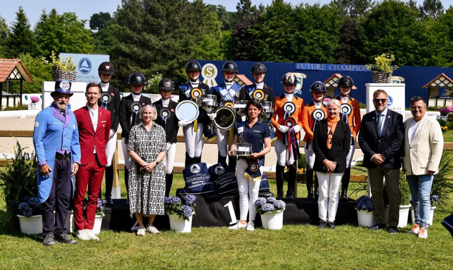 Ein Sprungbrett für Talente: Die Optimierung ihrer Karriere bei Future Champions in Hagen a.T.W.